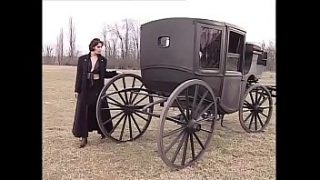 Hot and sexy brunette wants sex in a buggy!